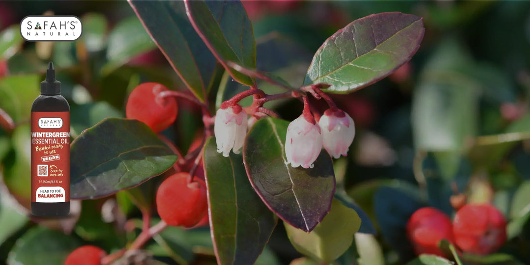 Blended Wintergreen Essential Oil: Balancing, Relief, and Refreshment