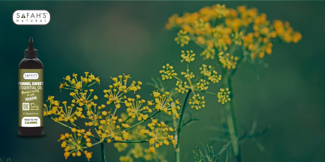 Blended Fennel Sweet Essential Oil: Ready-to-Use Digestive Comfort & Vitality