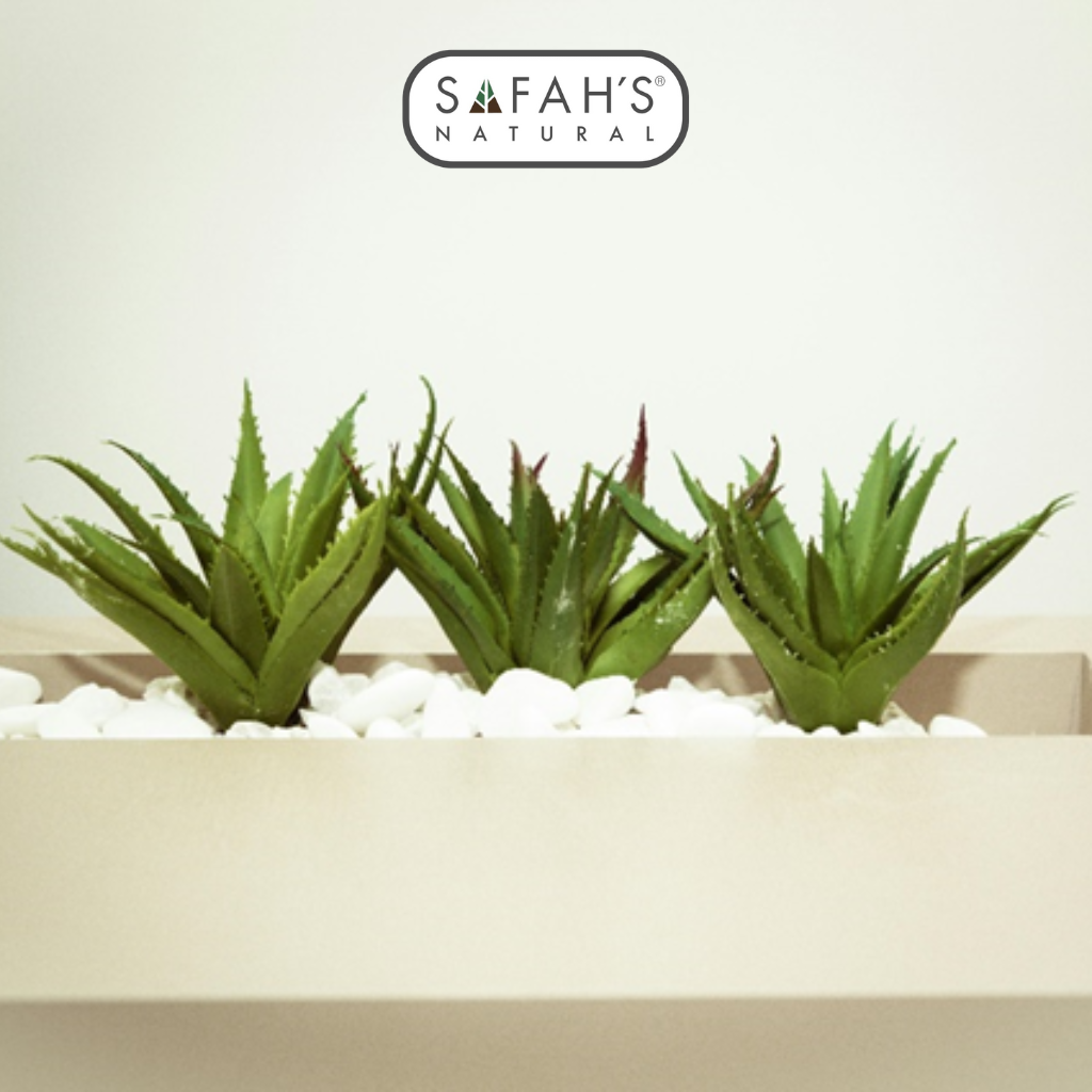 Aloe Vera Oil