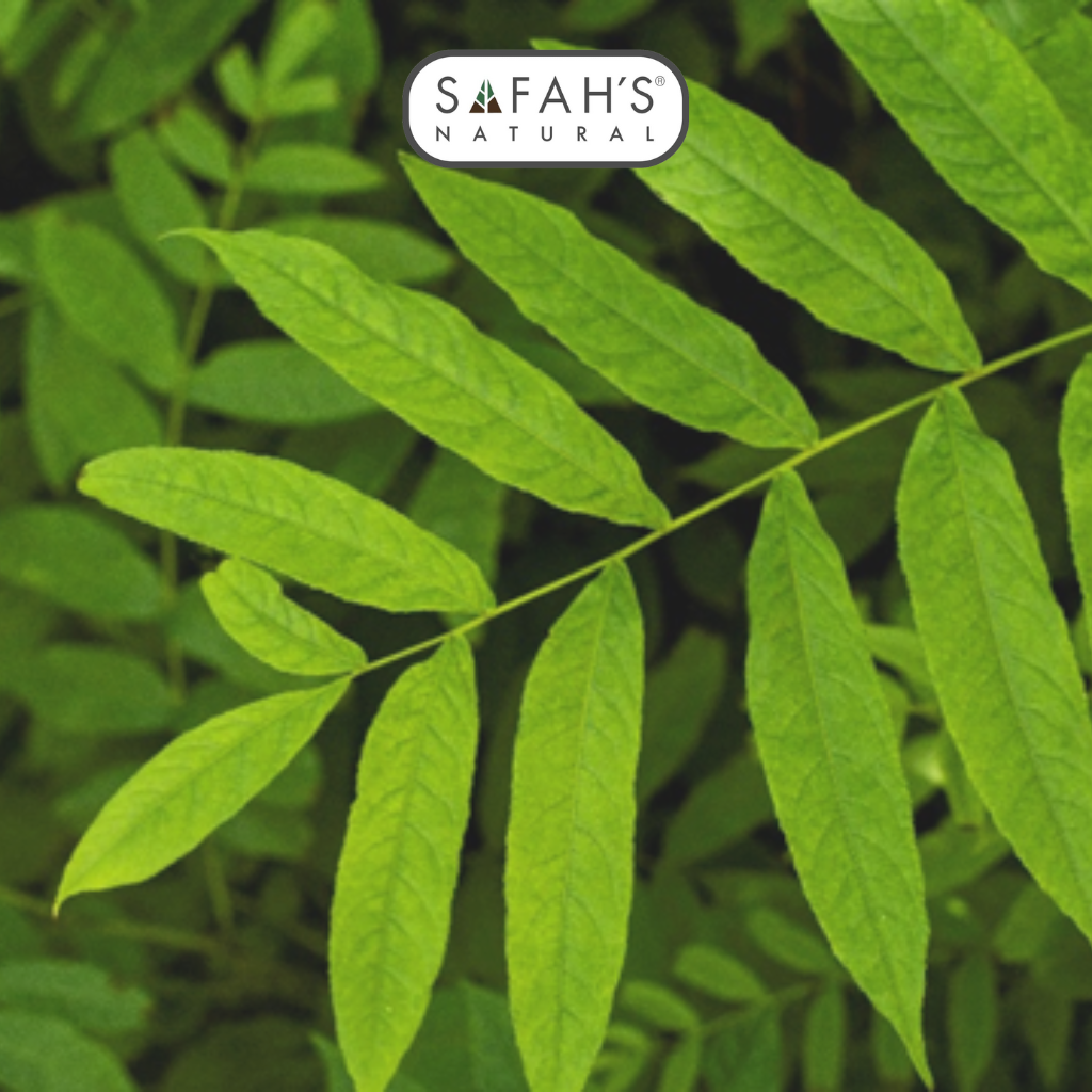 Virgin Indian Neem Oil